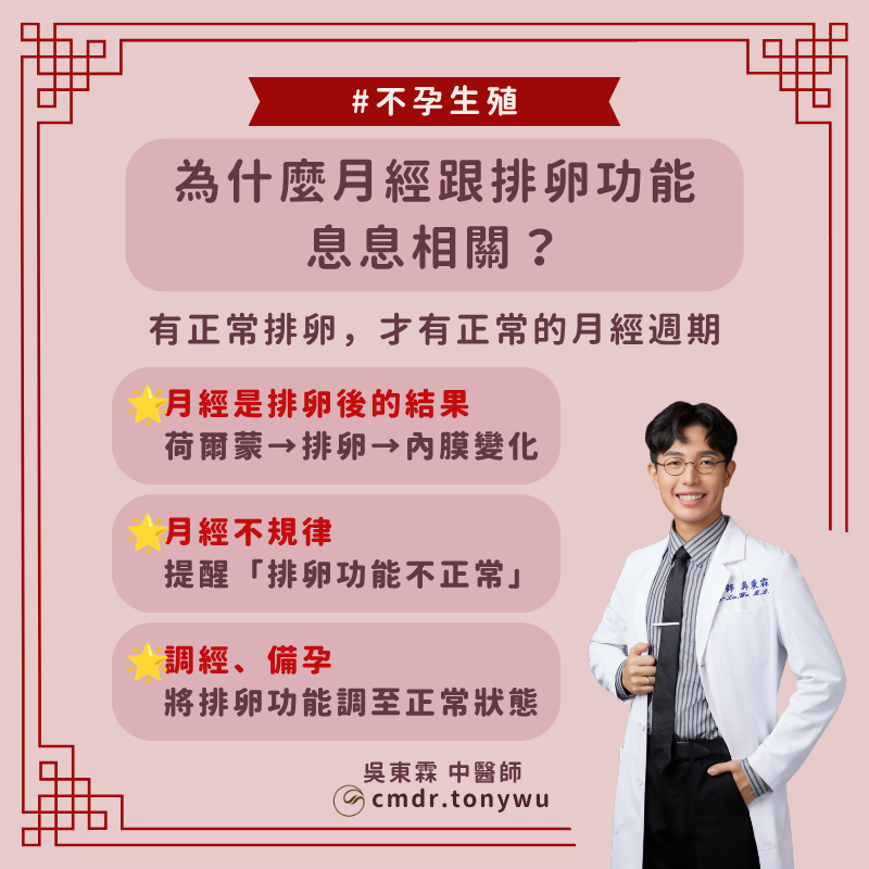 【為什麼月經跟排卵功能息息相關？有正常排卵，才有正常的月經週期】
